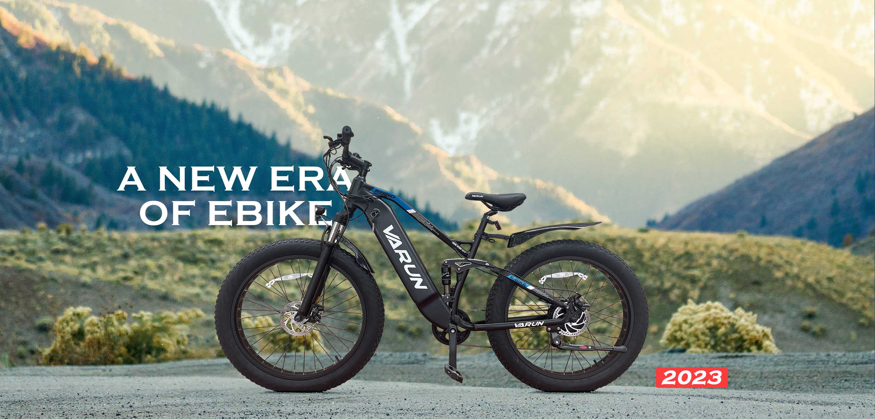 Why buy an Varun E-bike online?