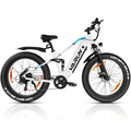 Fat Tire E-Mountainbike Pedelec Full Suspension All Terrain Electric Bike 90 Nm Removable Battery Long Range - Varun Ballistic-White 26'' E-Bike